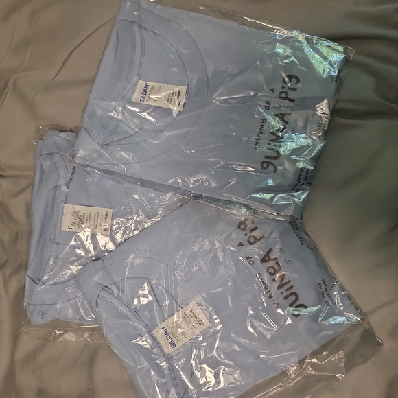 Anatomy of a Guinea Pig - Picture 4 of 4